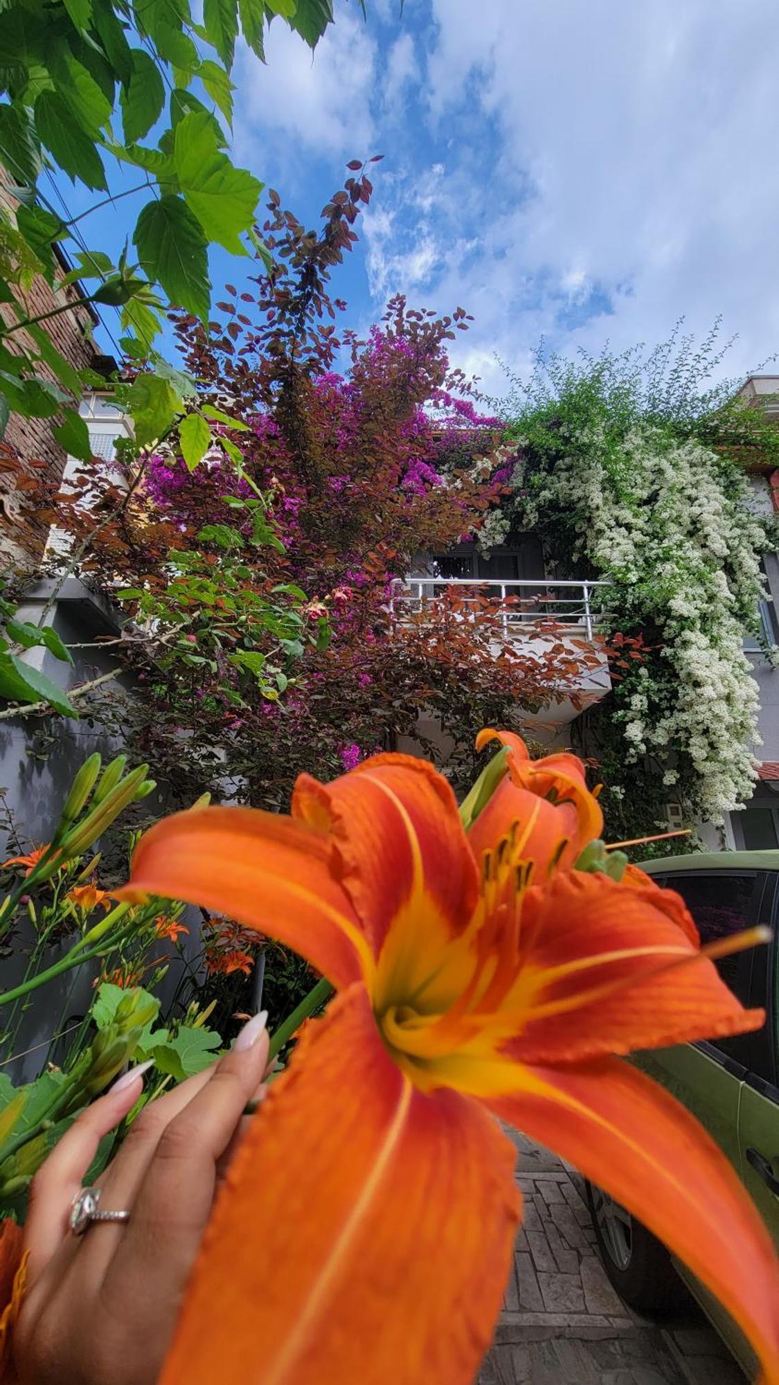 A Cheerful Villa With Free Parking Space Tirana Ruang foto